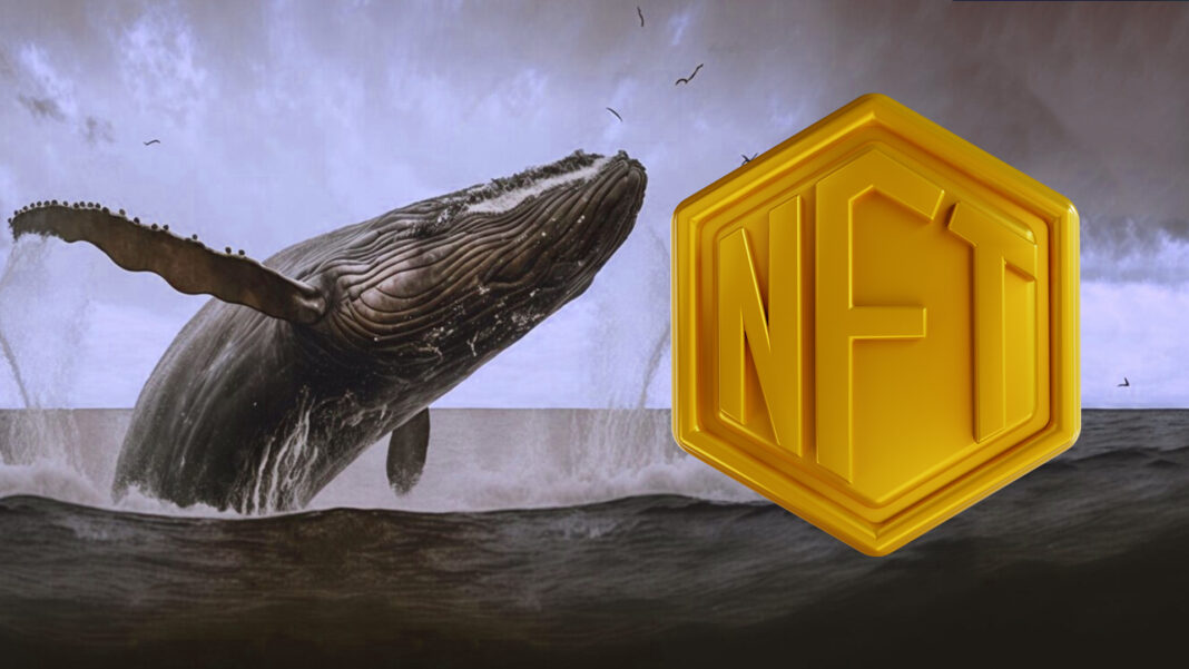 Navigating the Enigmatic Passage Towards NFT Whale Status 